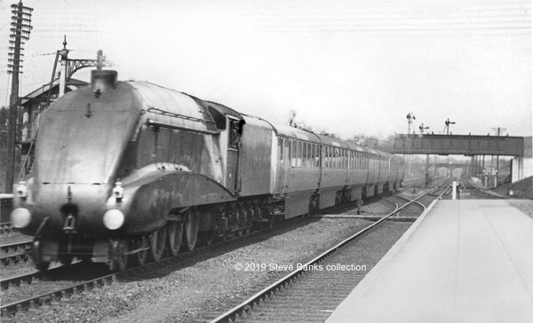 Click for full size image in a pop-up window. Use 'X' to close