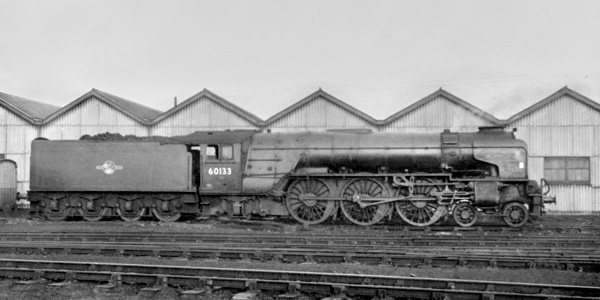 Click for full size image in a pop-up window. Use 'X' to close