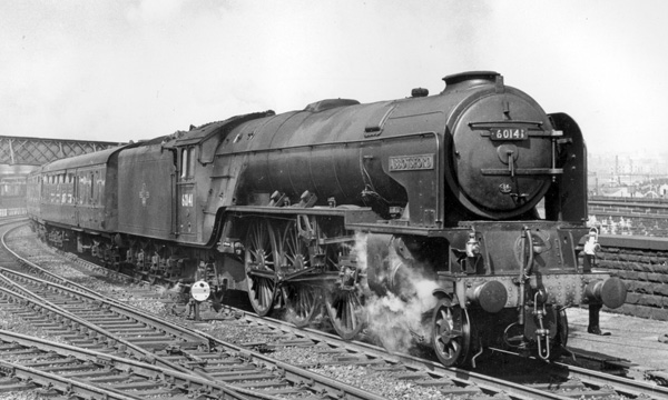 Click for full size image in a pop-up window. Use 'X' to close