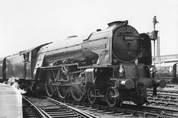 Click for full size image in a pop-up window. Use 'X' to close