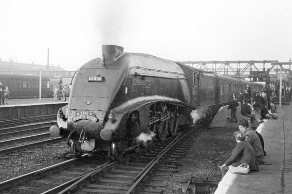 Click for full size image in a pop-up window. Use 'X' to close