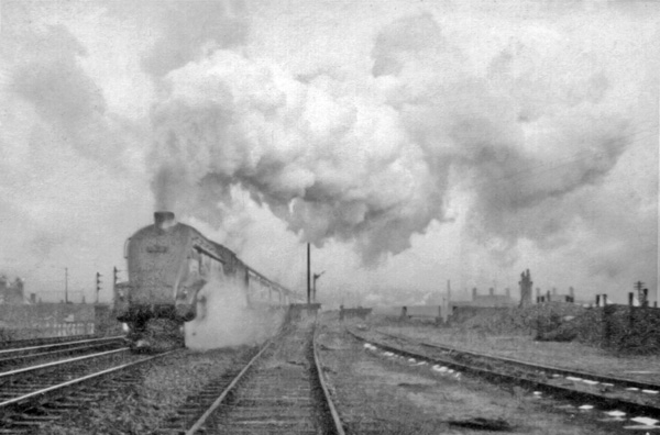 Click for full size image in a pop-up window. Use 'X' to close