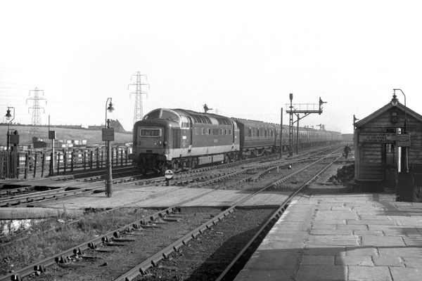 Click for full size image in a pop-up window. Use 'X' to close