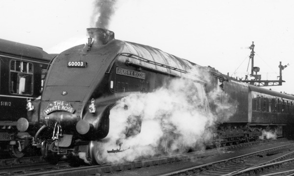 Click for full size image in a pop-up window. Use 'X' to close