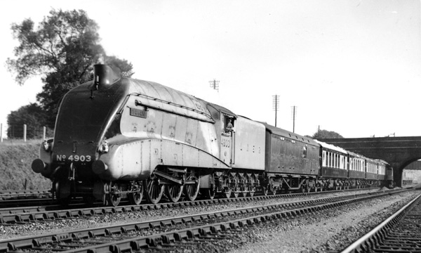 Click for full size image in a pop-up window. Use 'X' to close